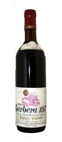 Barbera, 1973