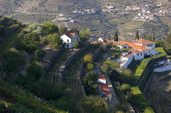 quinta-do-noval-vintage-port