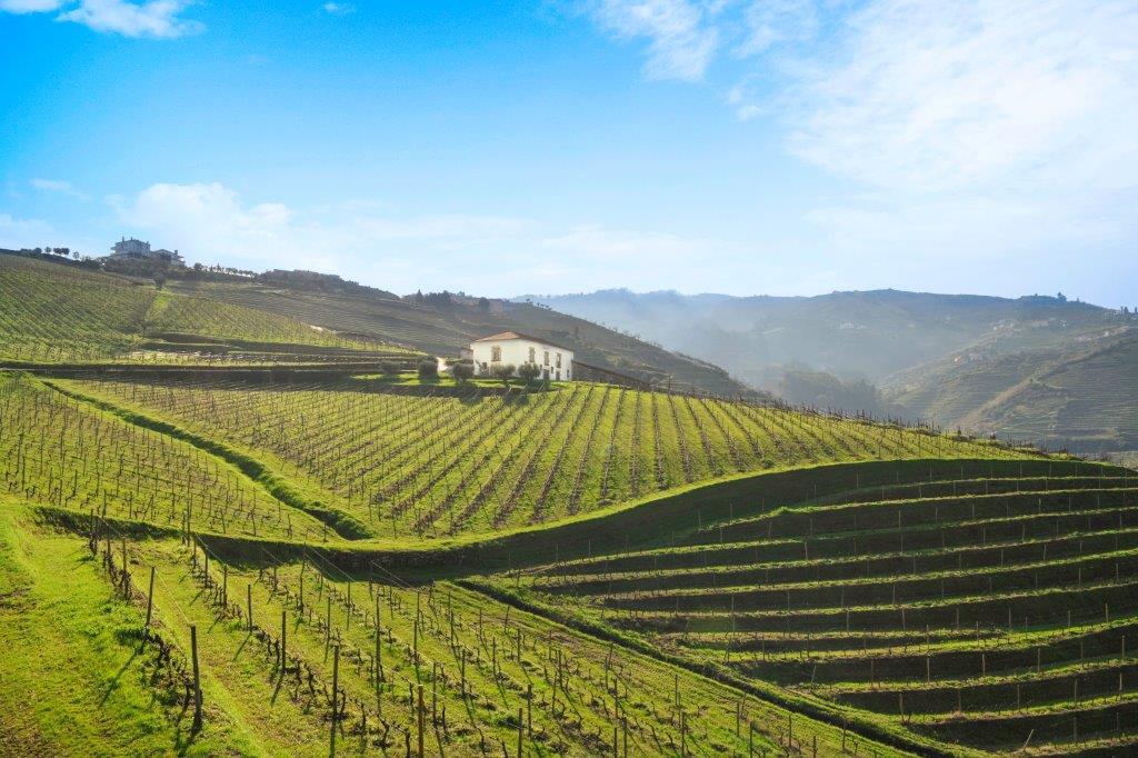 Quinta do Mourao