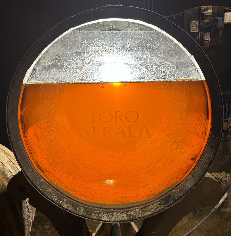 Fino in barrel