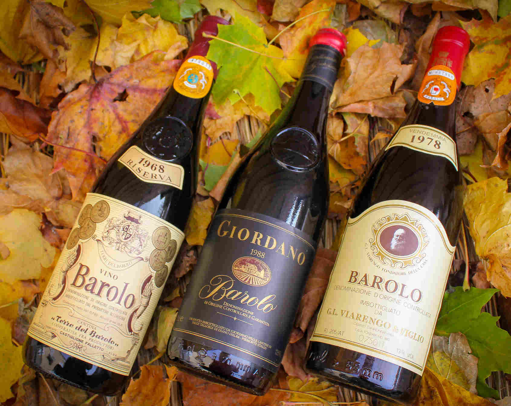 Vintage-port-offers