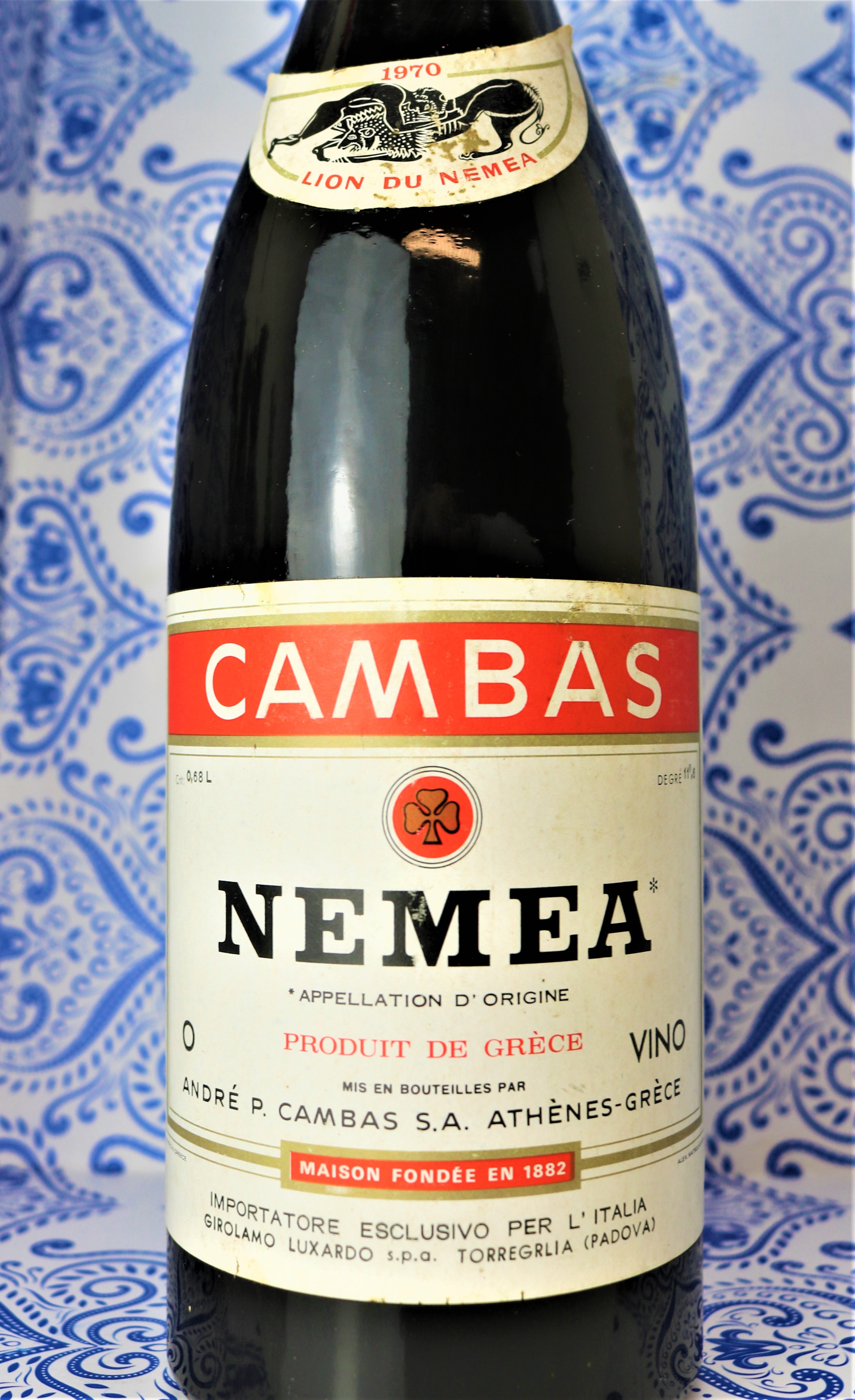 Cambas nemea