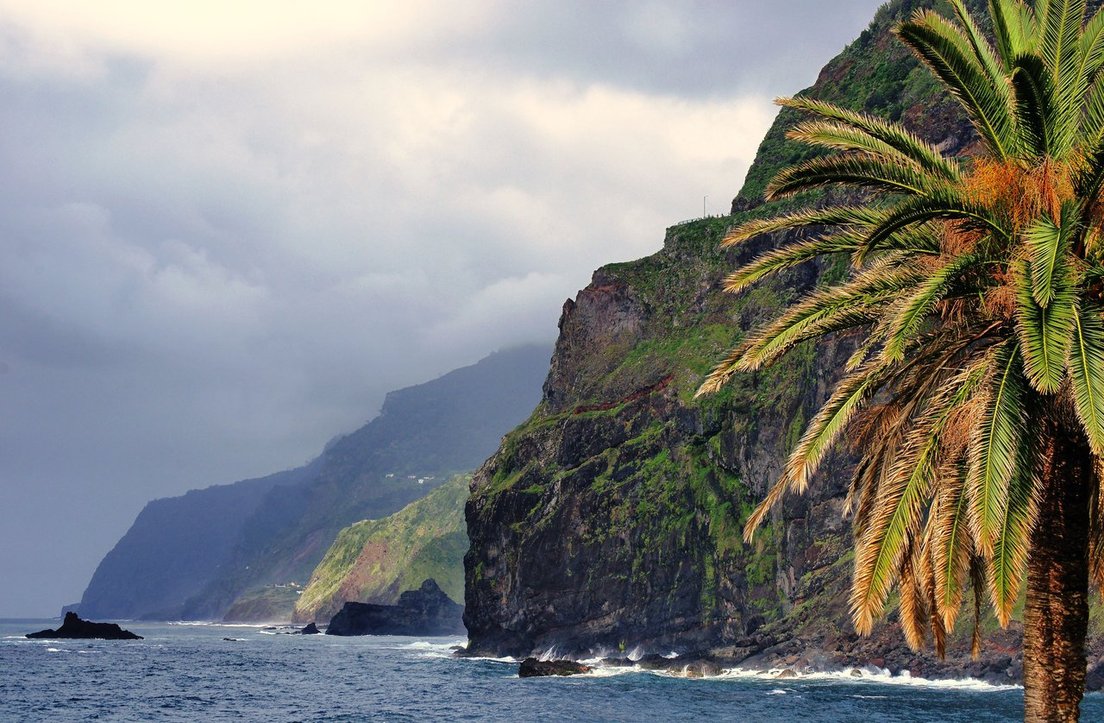 Cliffs of madeira