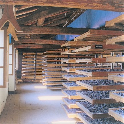 drying racks for grapes