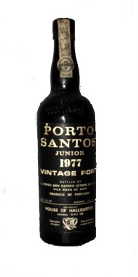 Porto Santos Junior, 1977