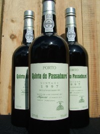 Quinta do Passadouro, 1997