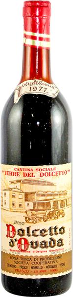 Dolcetto, 1977