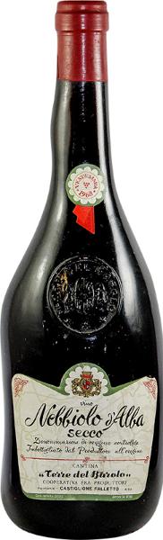 Nebbiolo D'Alba, 1968