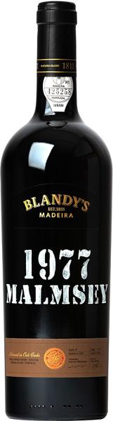 Blandys, 1977
