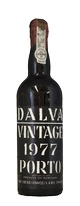 Dalva, 1977