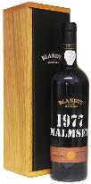 Blandys, 1977