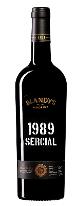 Blandys, 1989
