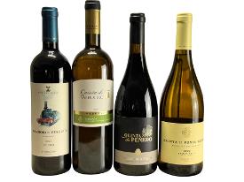 Wines From Portugal - Regional Selection Case